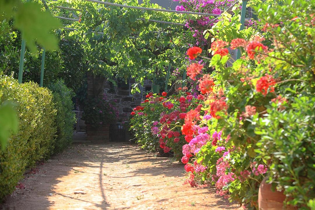 Photo of Others in Agios Minas