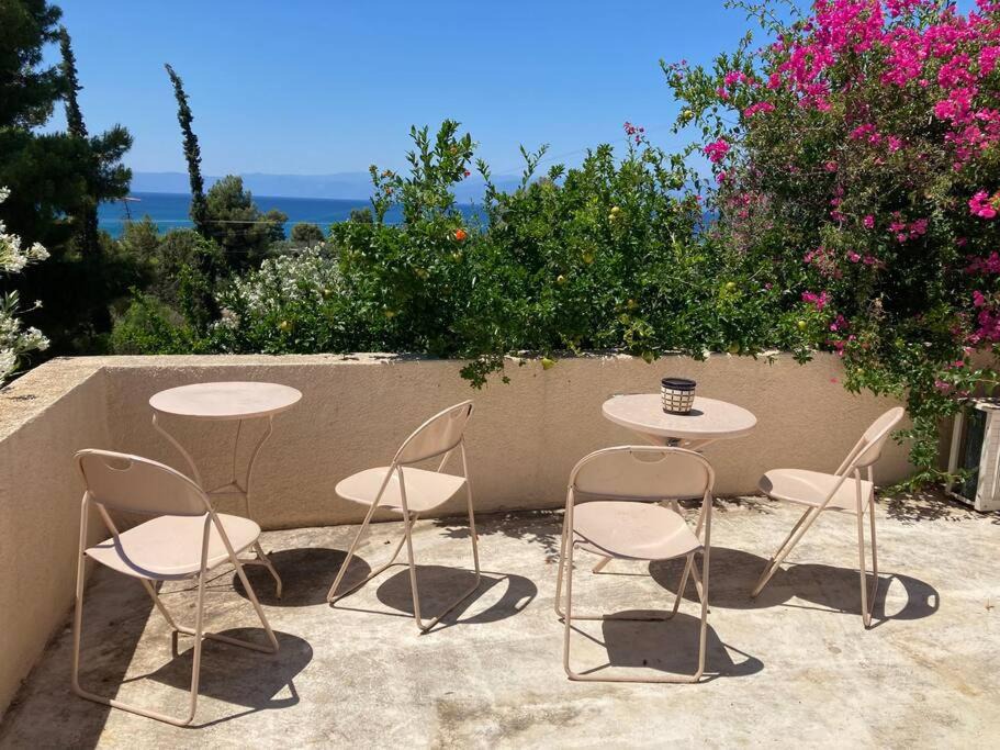 Photo of Patio Balcony in Kilada