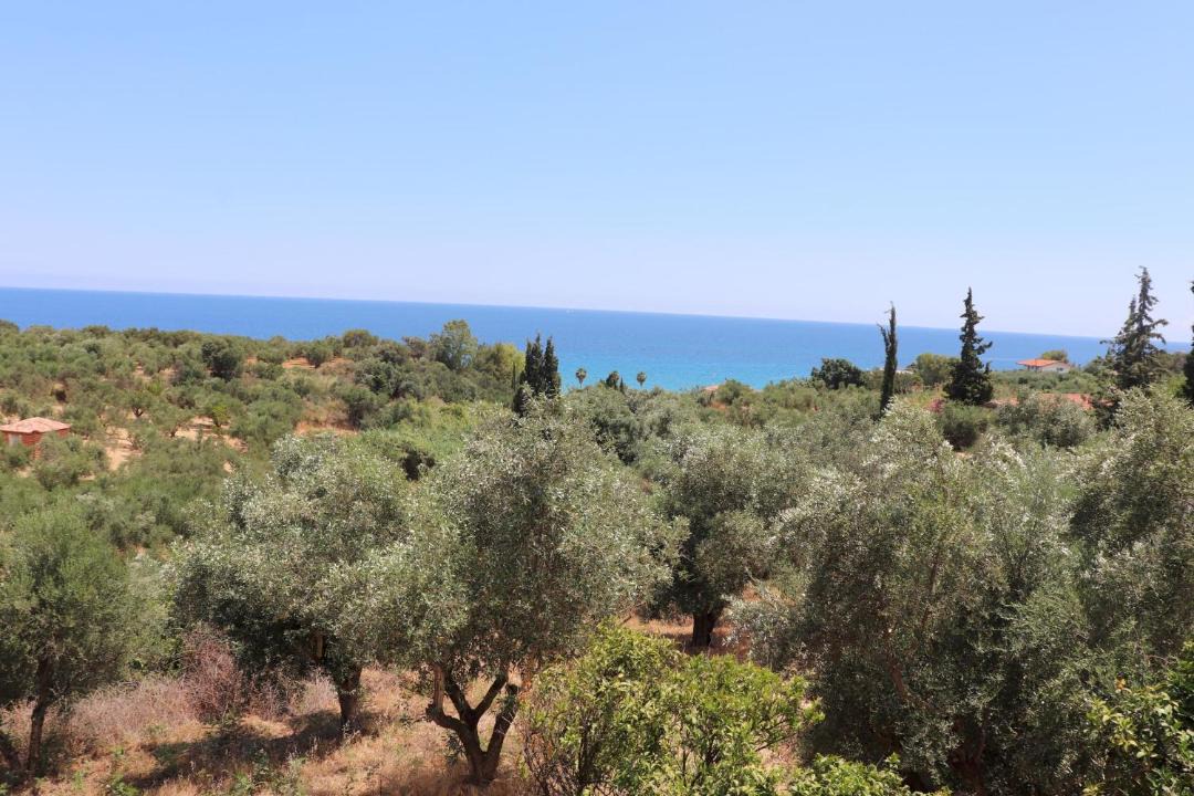 Photo of Outdoor in Pylos-Nestoras