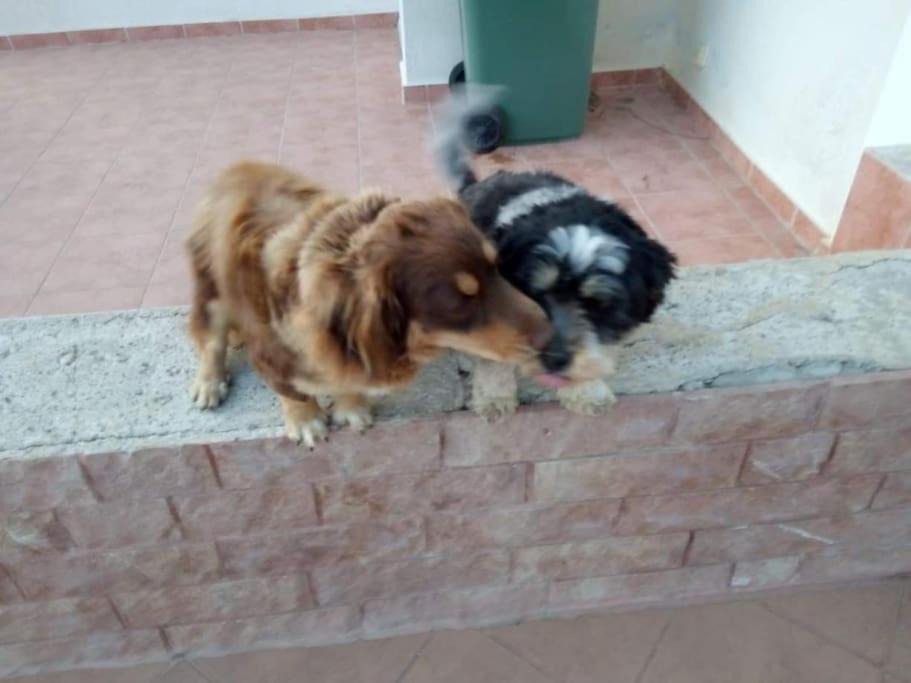 Photo of Others in Agios Dimitrios