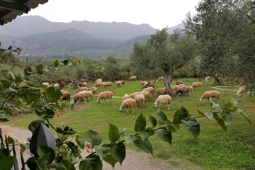 Photo of Outdoor in Arfara