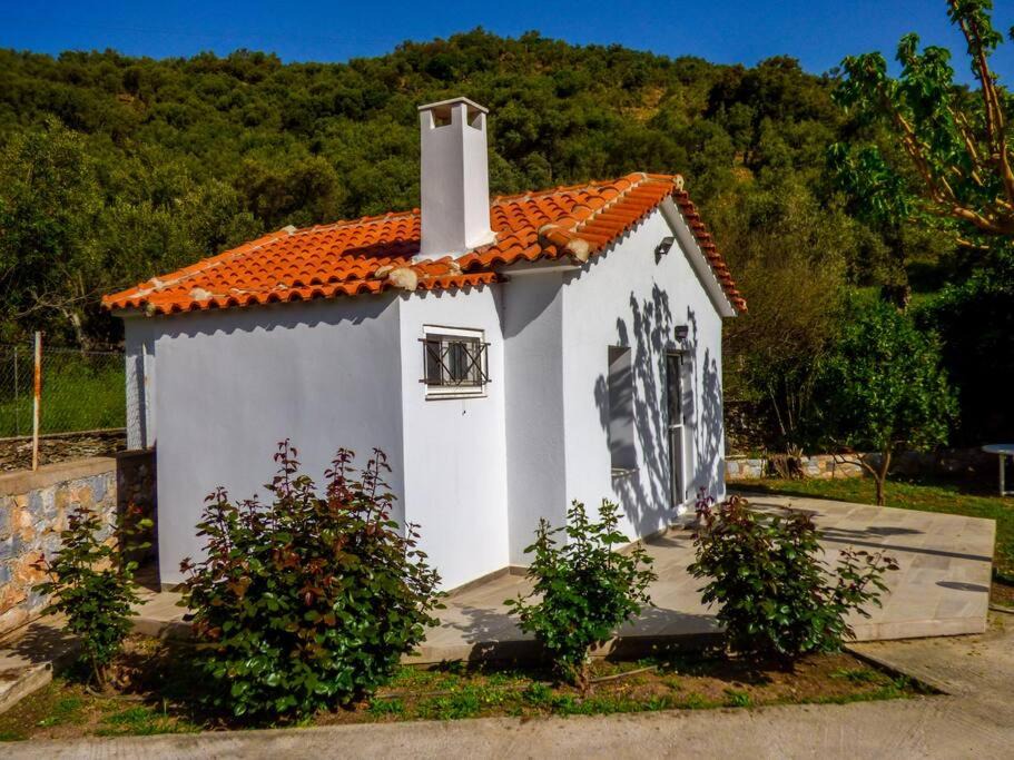 Photo of Buildings in Trygonas