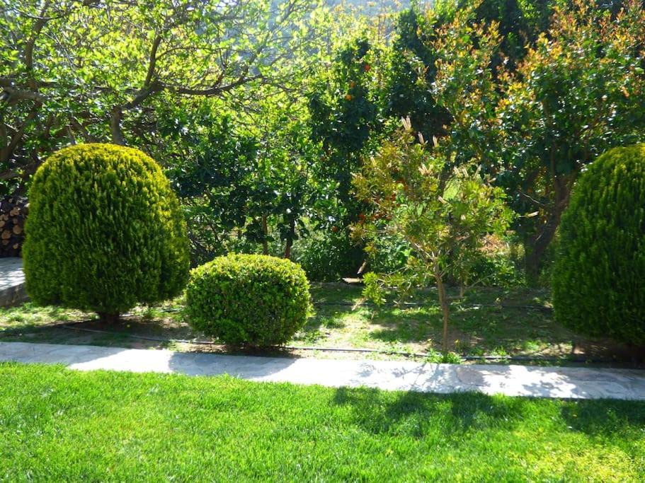 Photo of Outdoor in Trygonas
