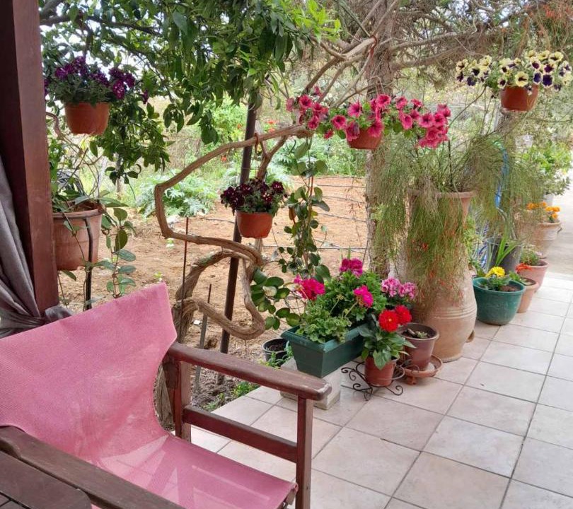 Photo of Patio Balcony in Pitharion