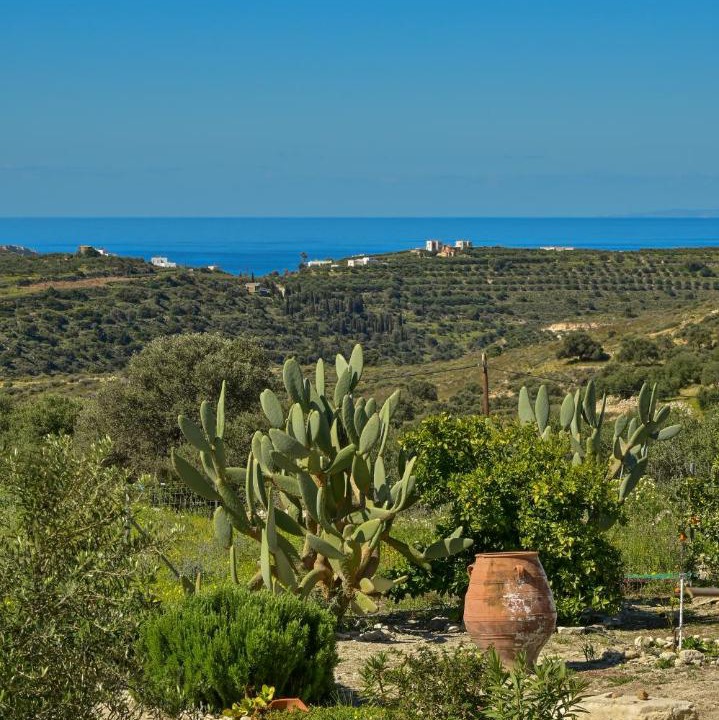 Photo of Others in Kamilari