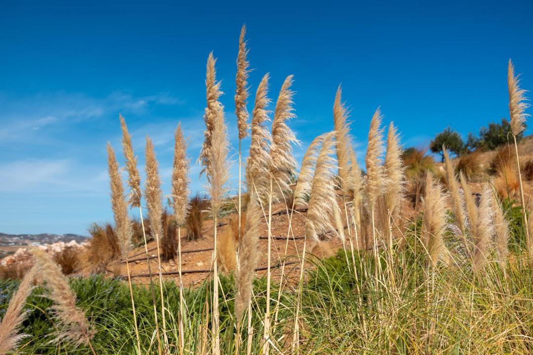 Photo of Others in Marpissa