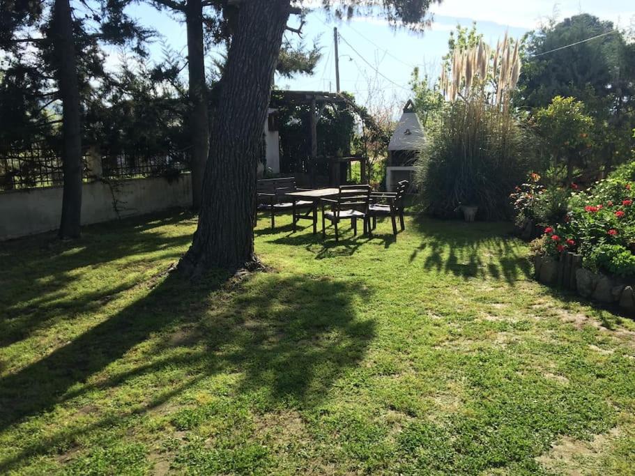 Photo of Others in Sikia