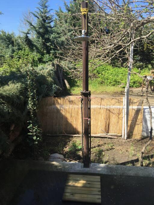 Photo of Others in Sikia