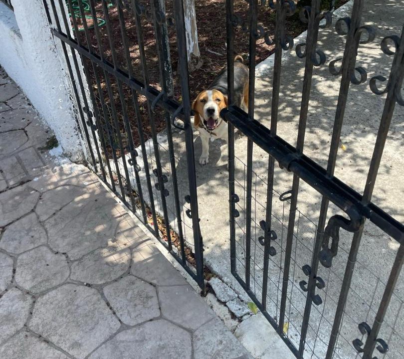 Photo of Others in Peroulades