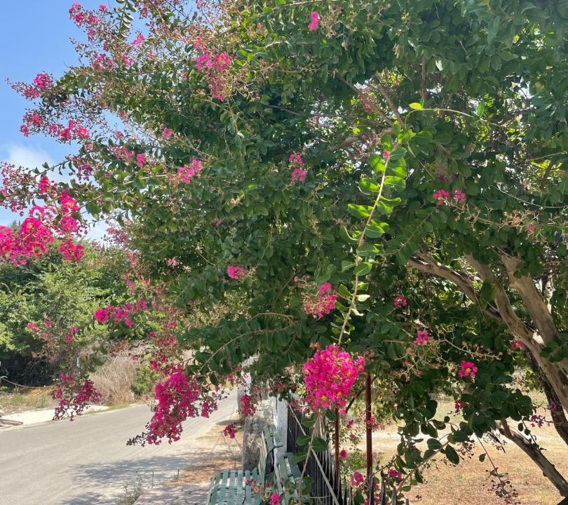 Photo of Others in Peroulades