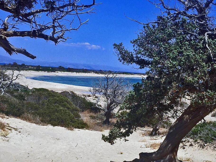 Photo of Outdoor in Old Hersonissos