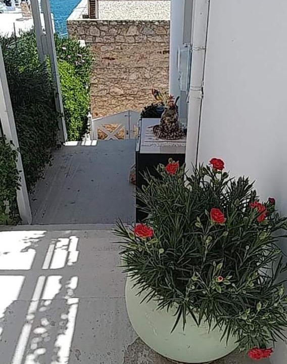 Photo of Others in Tilos