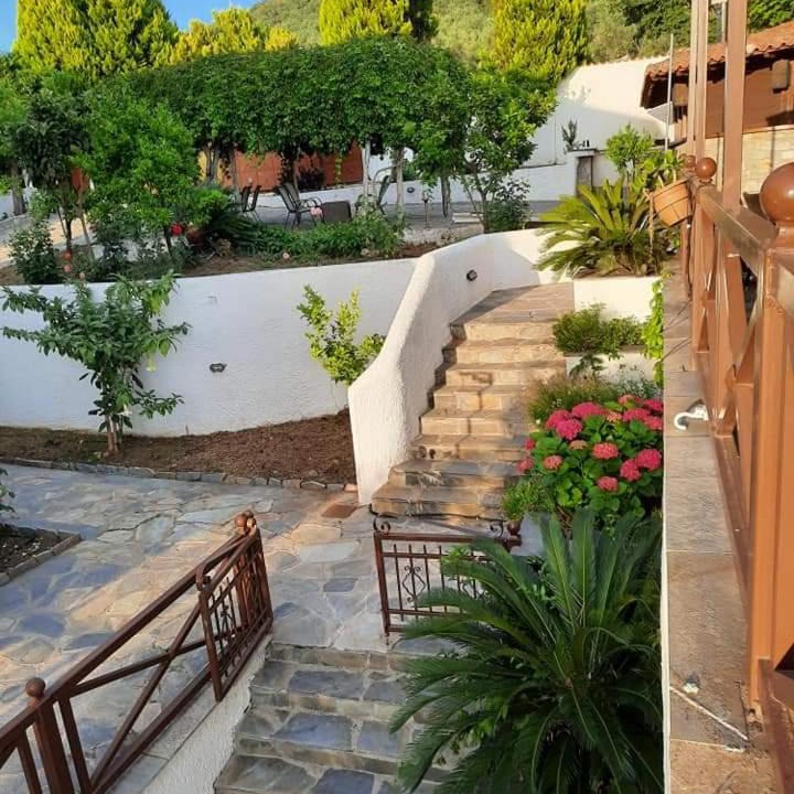 Photo of Others in South Pelion