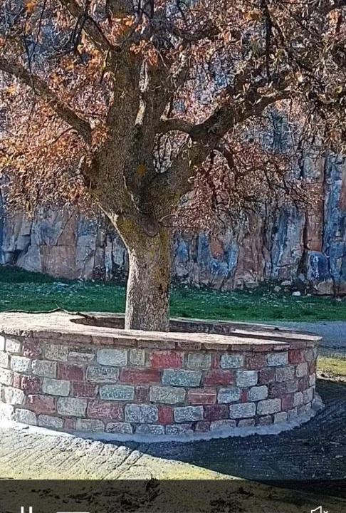 Photo of Buildings in Omales