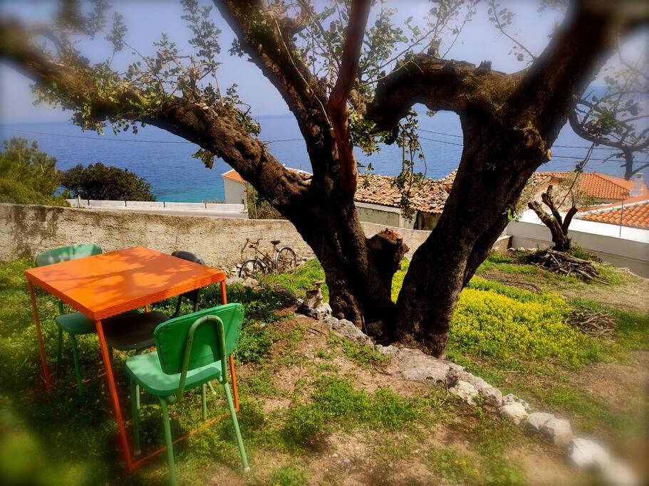 Photo of Outdoor in Avlakia