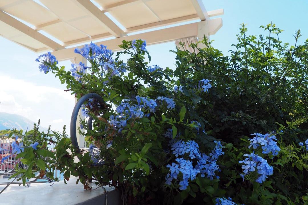 Photo of Patio Balcony in Frourion