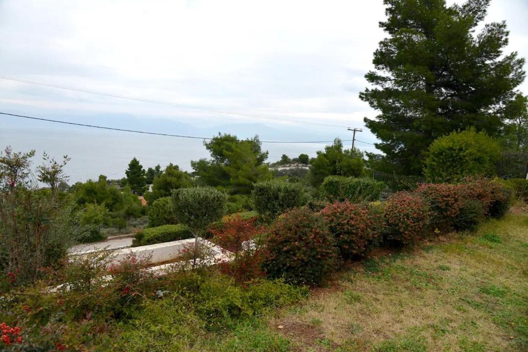 Photo of Outdoor in Theologos