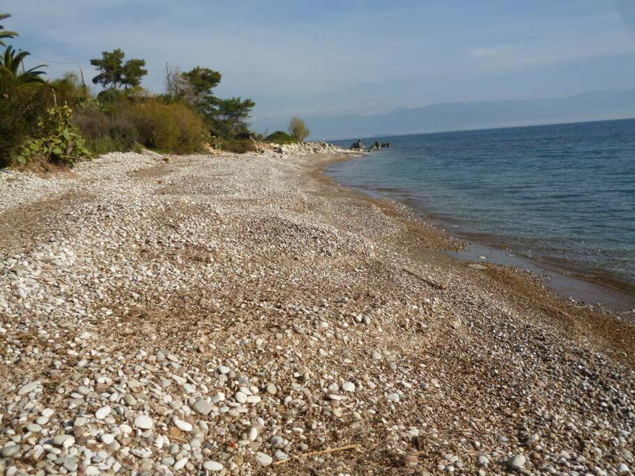 Photo of Outdoor in Petalidi