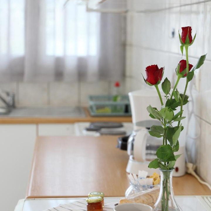 Photo of Kitchen in Mesolongi