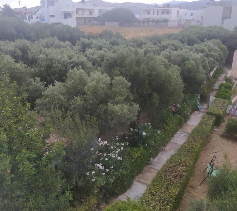 Photo of Others in Sissi