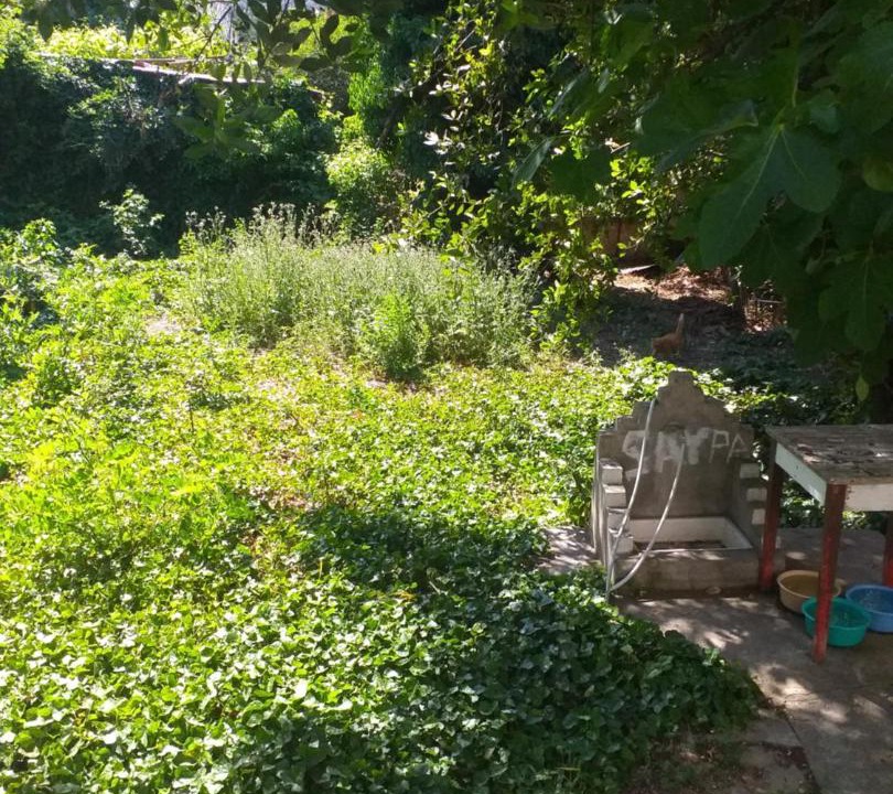 Photo of Outdoor in Peraia
