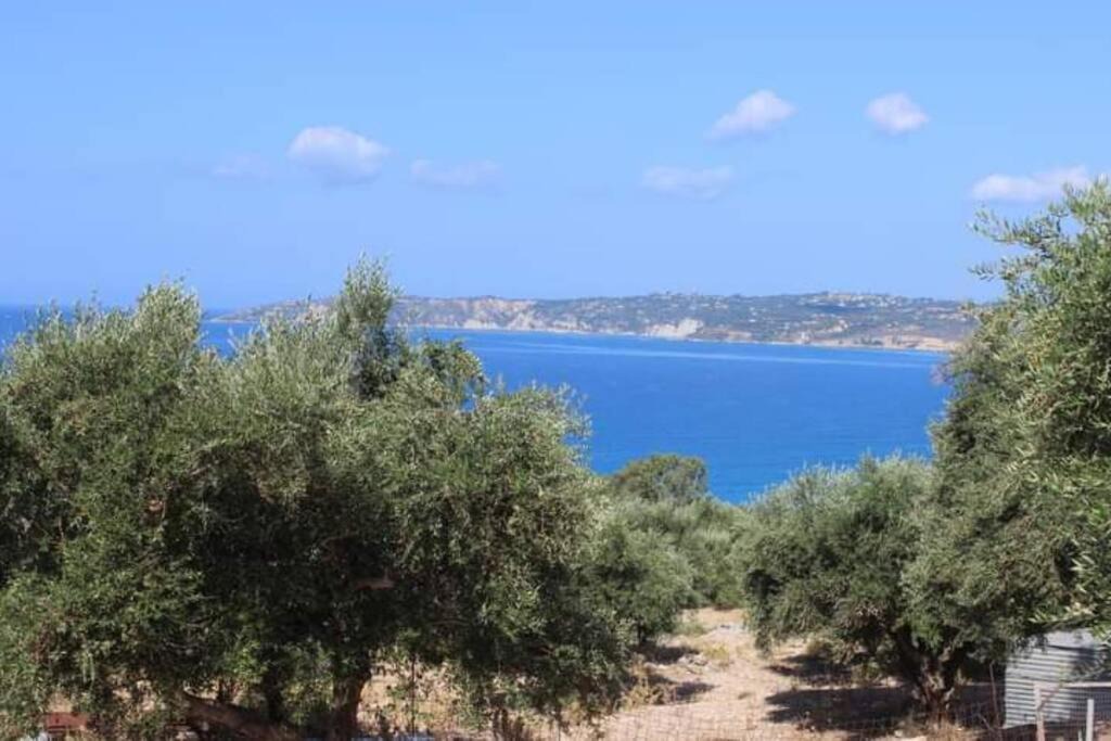 Photo of Others in Mousata