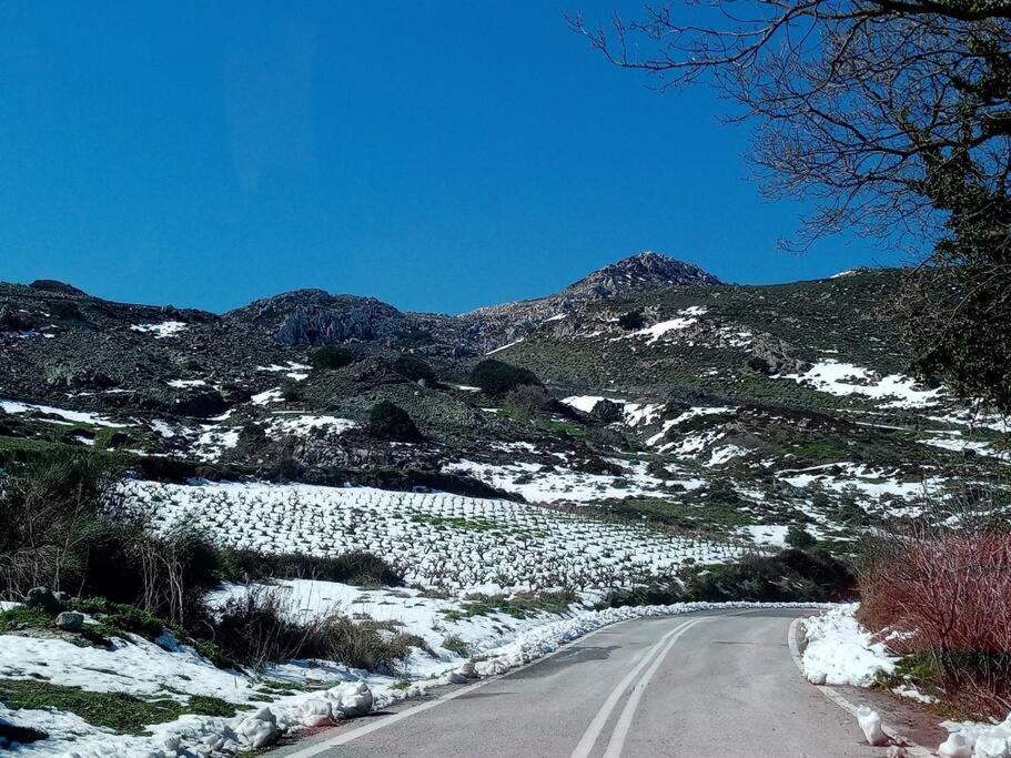 Photo of Buildings in Agios Vasileios