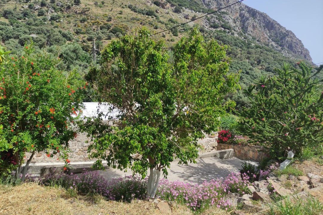 Photo of Others in Kantanos-Selino