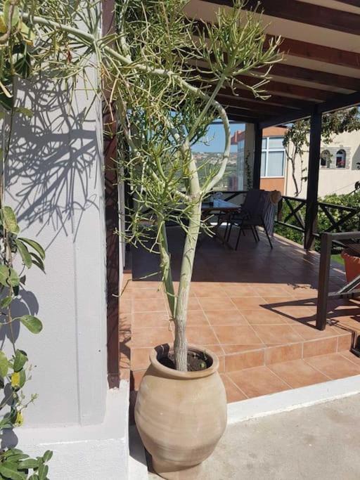 Photo of Others in Sitia