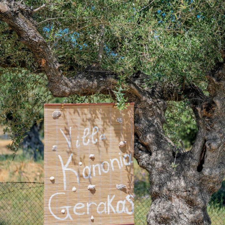 Photo of Others in Vasilikos