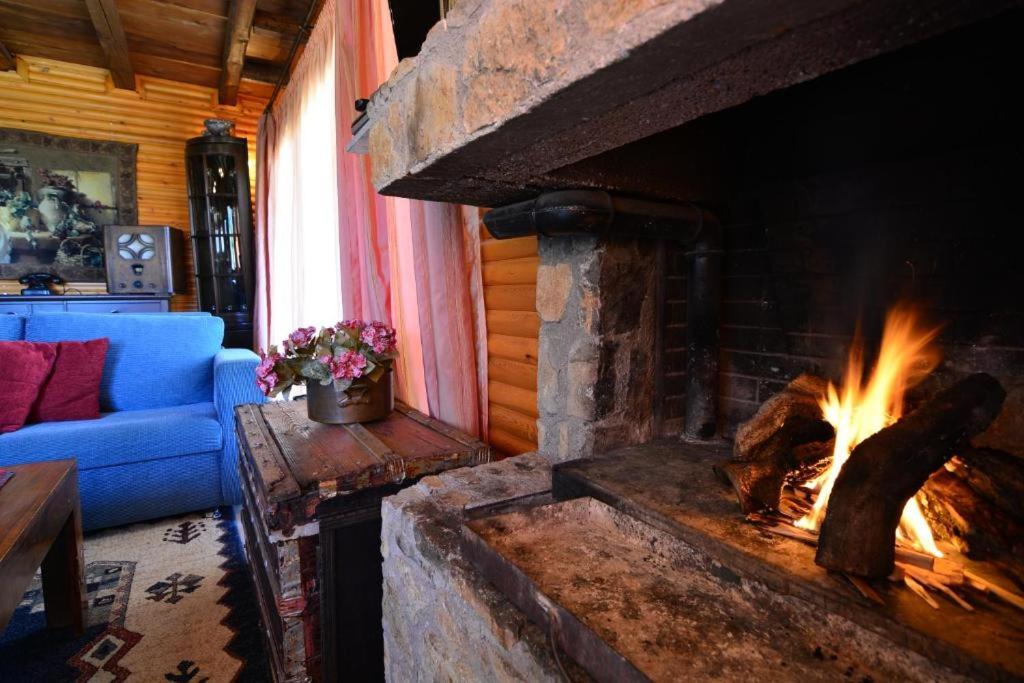 Photo of Livingroom in Mesaia Trikala