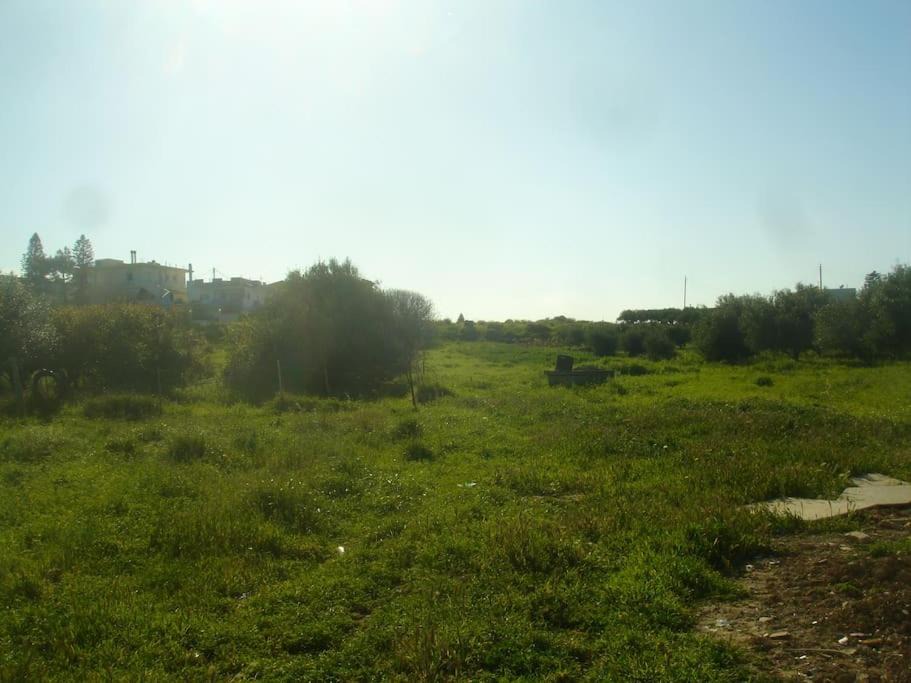 Photo of Others in Gournai