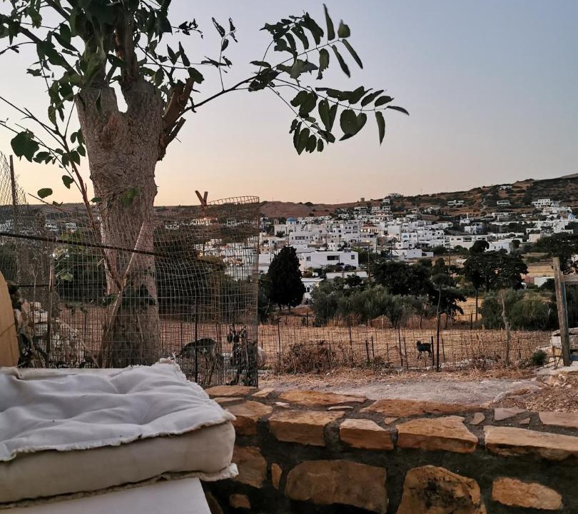 Photo of Patio Balcony in Lipsoi