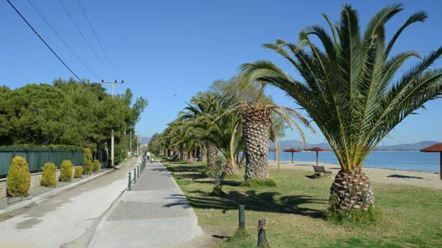 Photo of Outdoor in Nea Makri