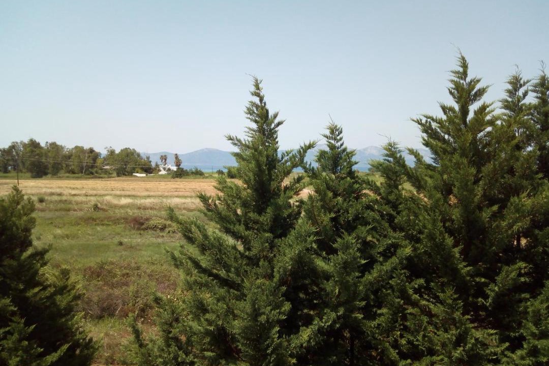 Photo of Outdoor in Skidra