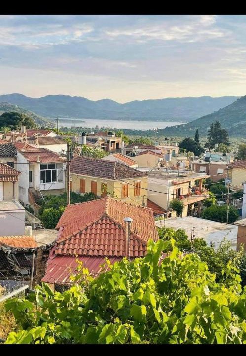 Photo of Others in Mytilene