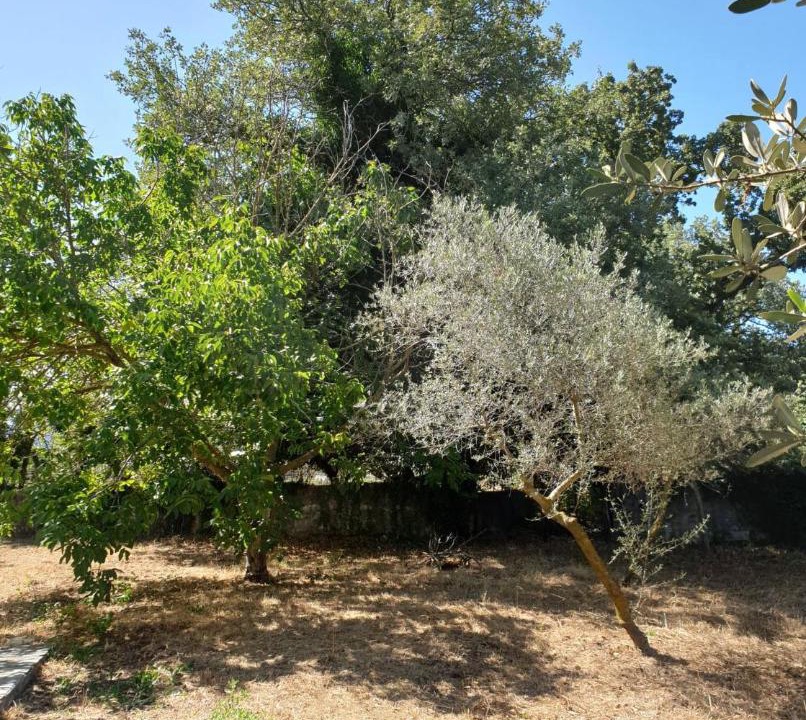 Photo of Outdoor in Armenoi