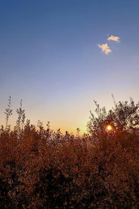 Photo of Outdoor in Arfara