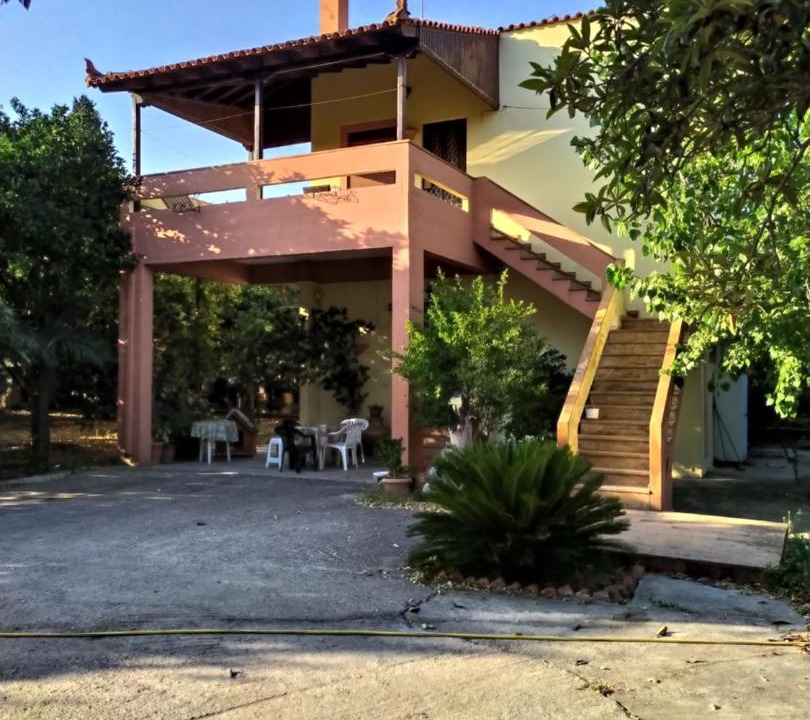 Photo of Others in Agios Minas