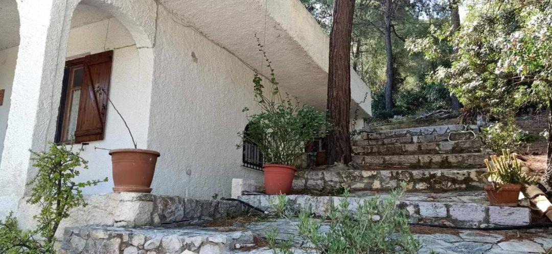 Photo of Others in Katakali