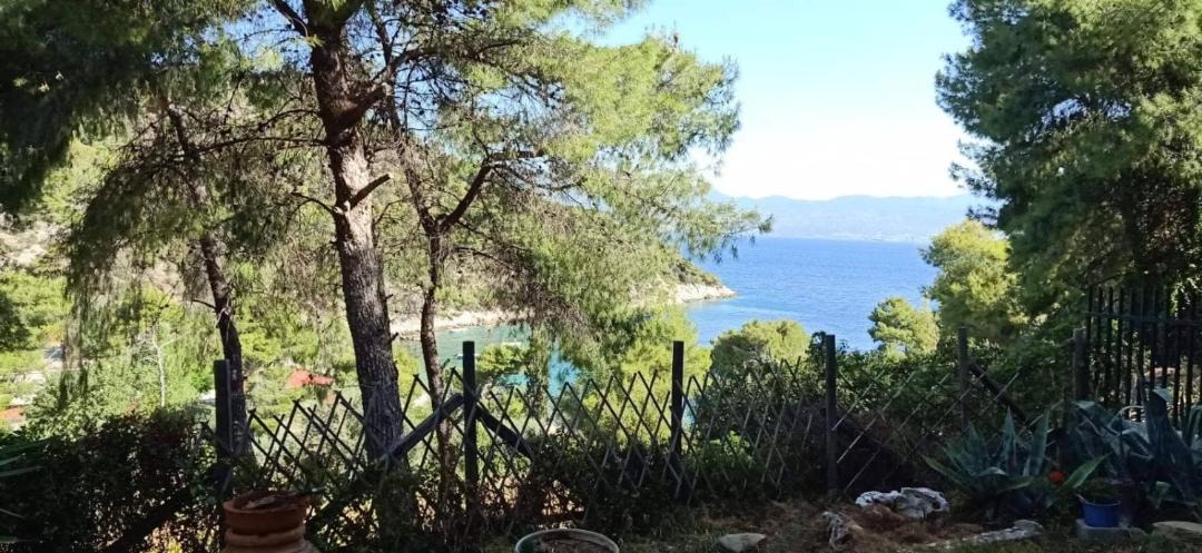 Photo of Others in Katakali