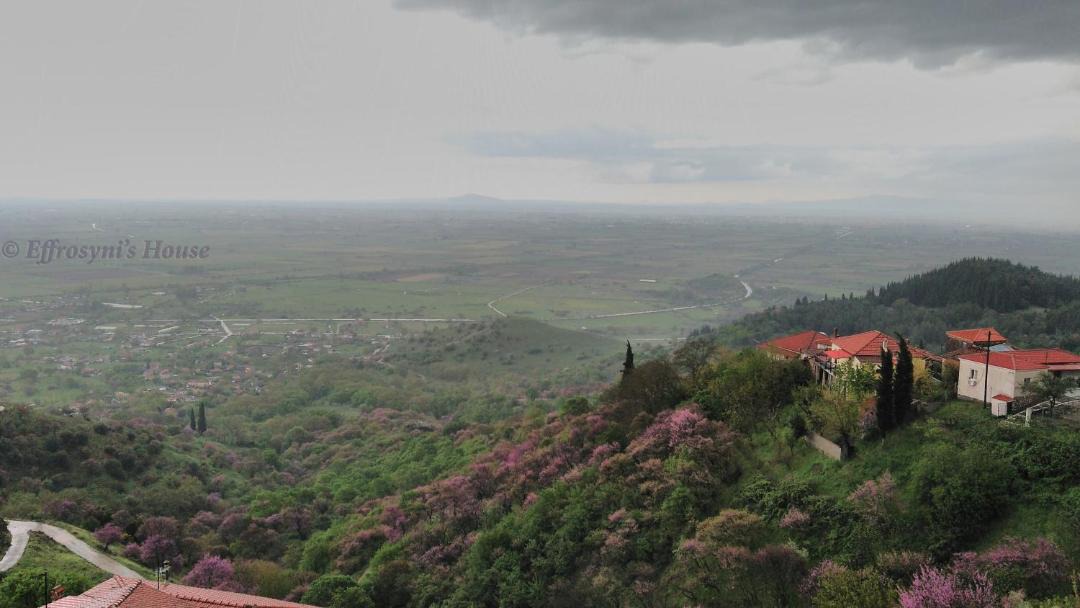 Photo of Outdoor in Ithomi