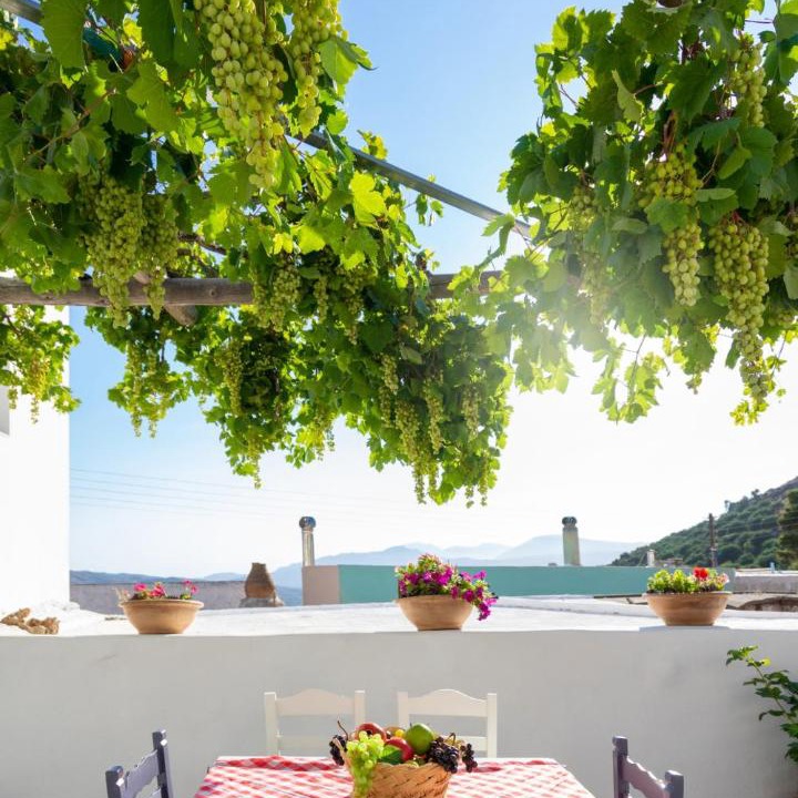 Photo of Others in Katsidoni