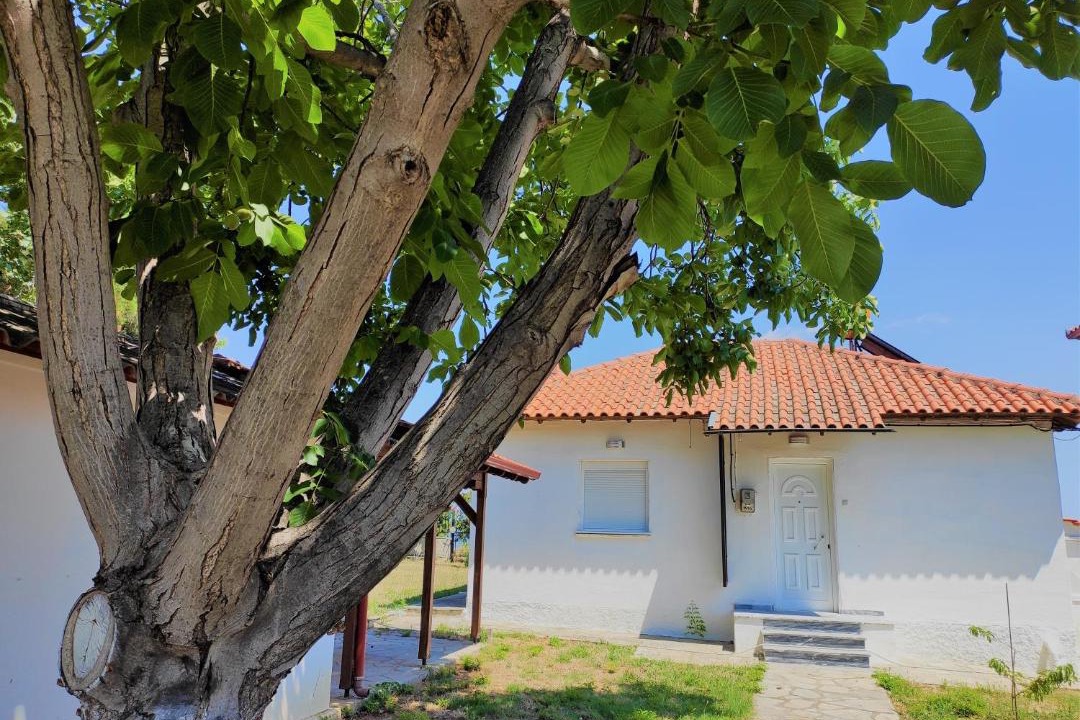 Photo of Buildings in Makrigialos