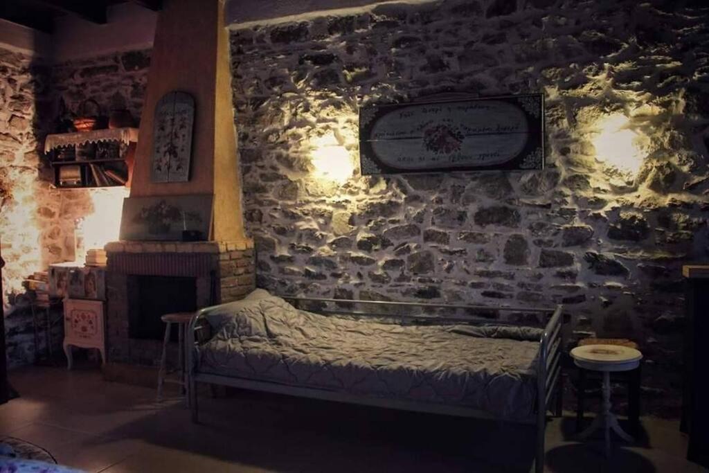 Photo of Others in Agrapidies