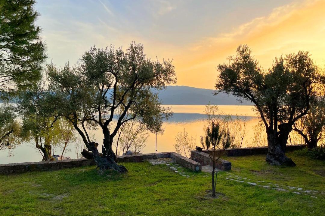 Photo of Others in Mytilene