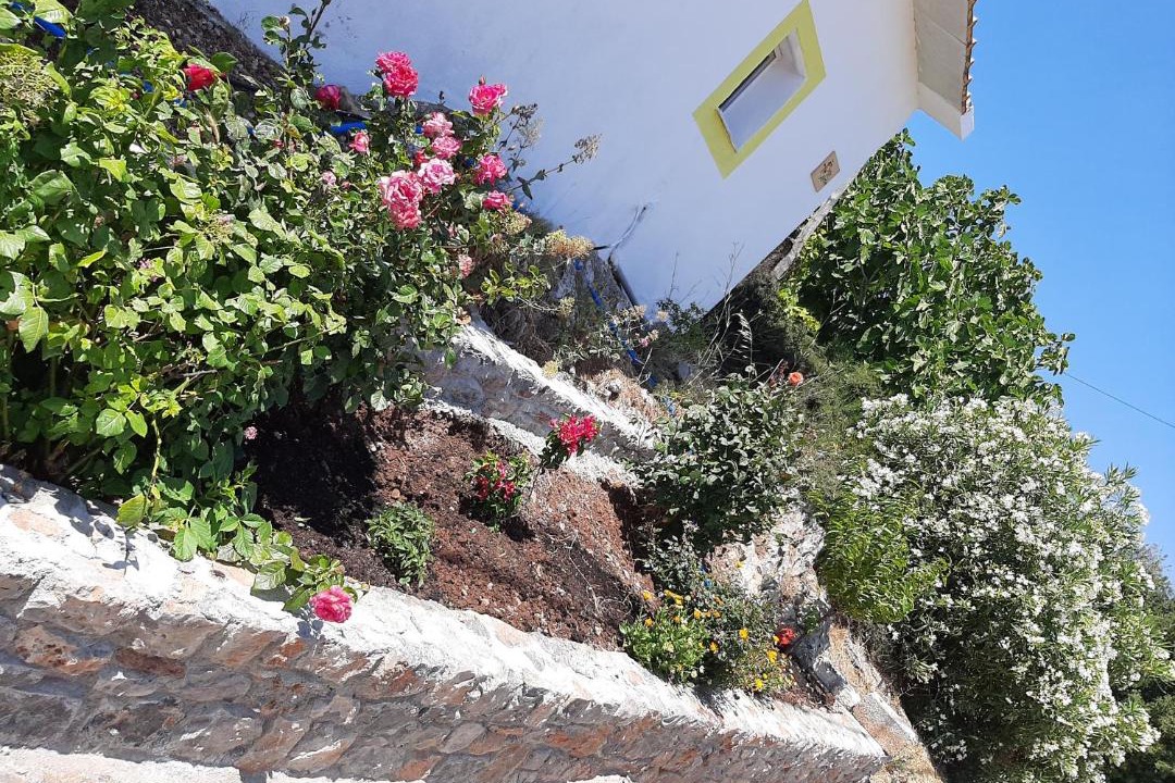 Photo of Others in Sitia
