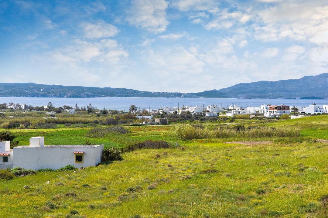 Photo of Others in Adamas