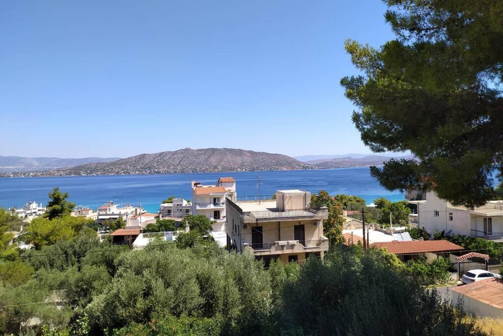 Photo of Others in Salamis