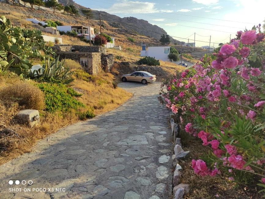 Photo of Others in Serifos